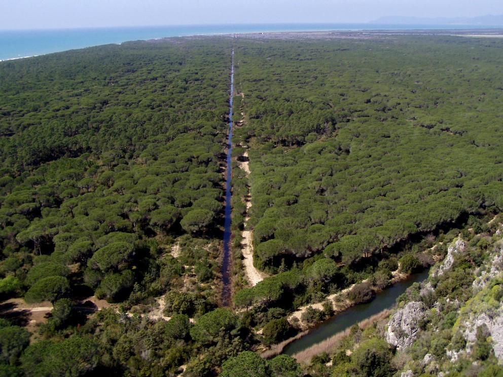 Parco dell''Uccellina - Torre di Collelungo